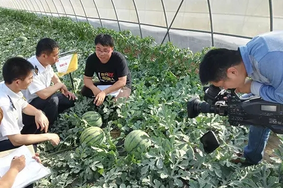 寒流無情，農大和豫藝有愛