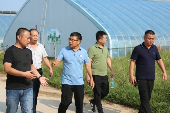 本分豫藝 助力農業(yè)發(fā)展提質增效